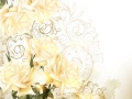 Background with pretty beige roses in vintage style