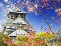 Osaka castle for adv or others purpose use