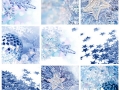 Collage 2014, noël bleu