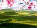 fairway of a beautiful golf course with nice sakura flower