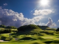 Golf place with wonderful green for adv or others purpose use