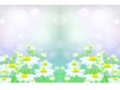 vector-skinali-0729