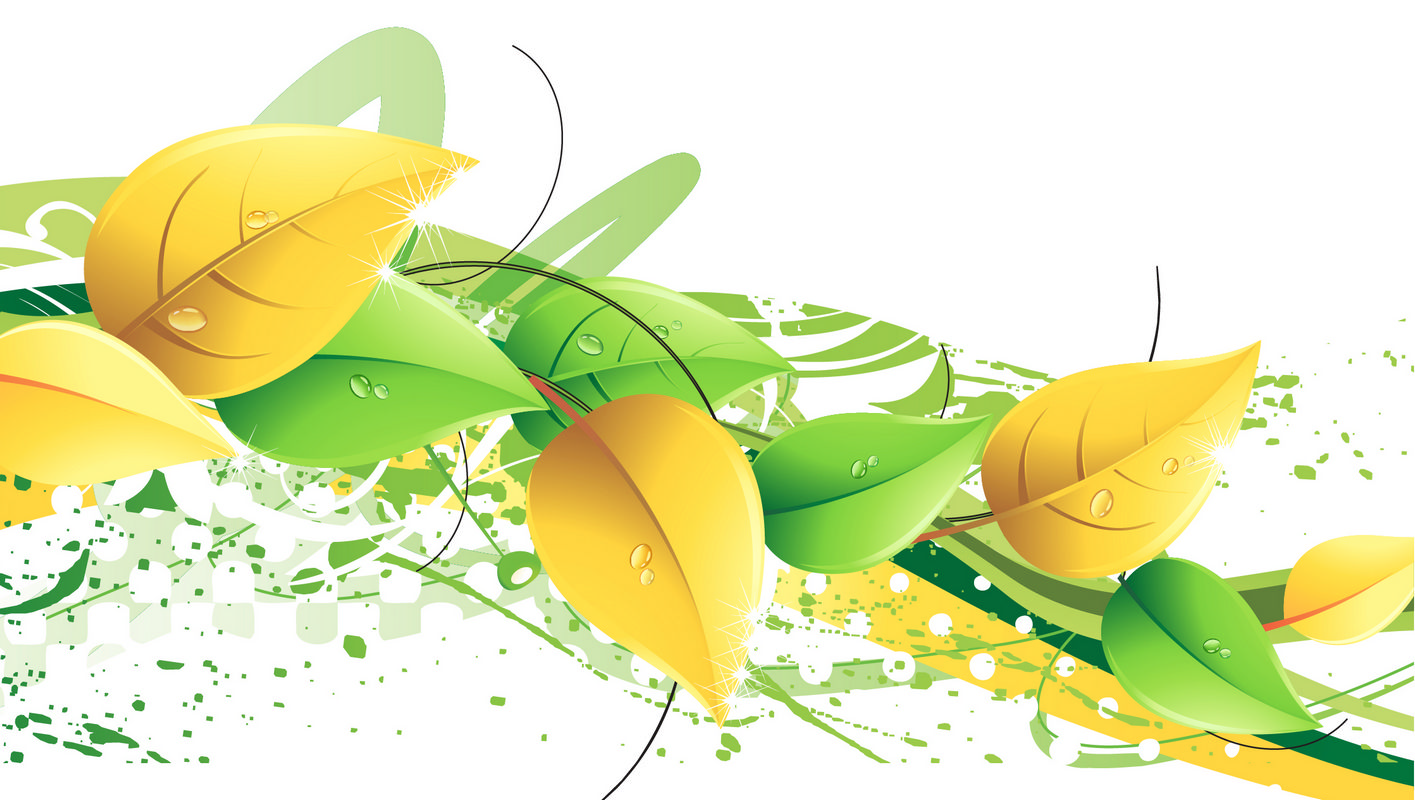 Желтые цветы на зеленом вектор